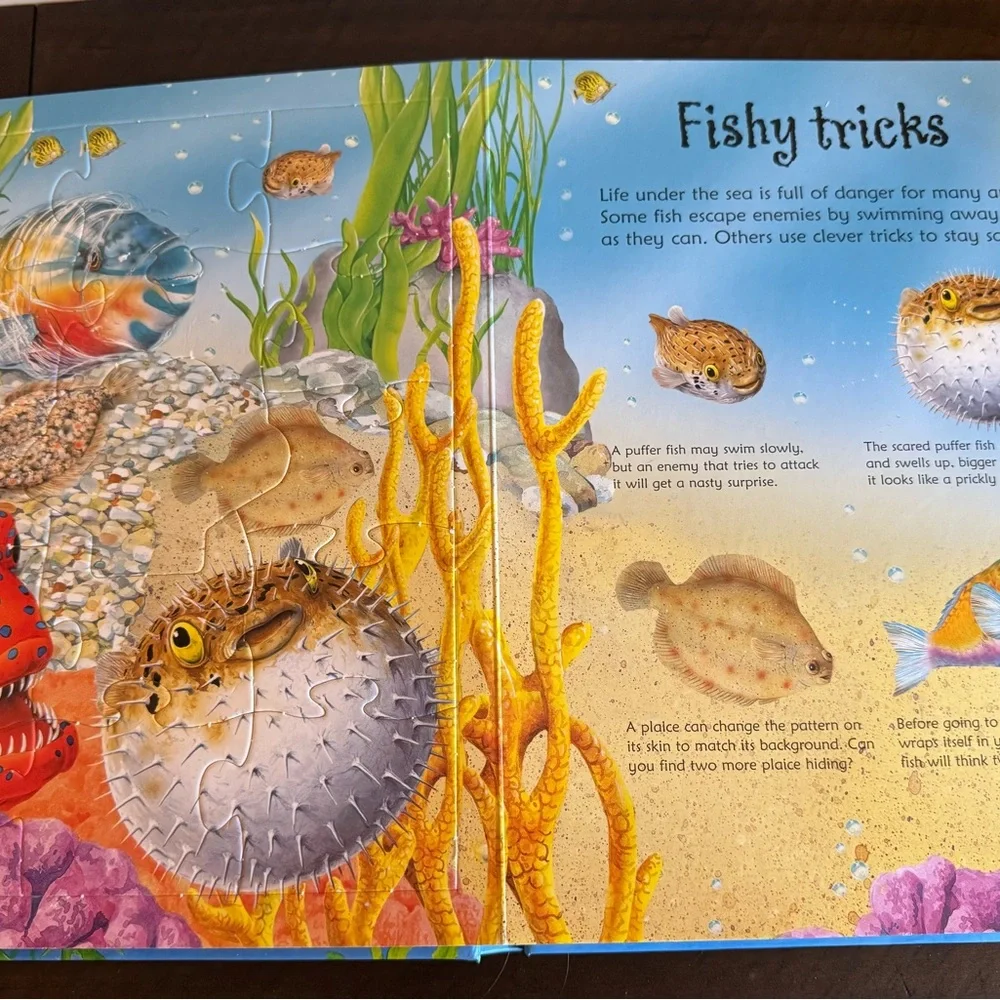 Usborne Jigsaw Book - Under the Sea - Like New!